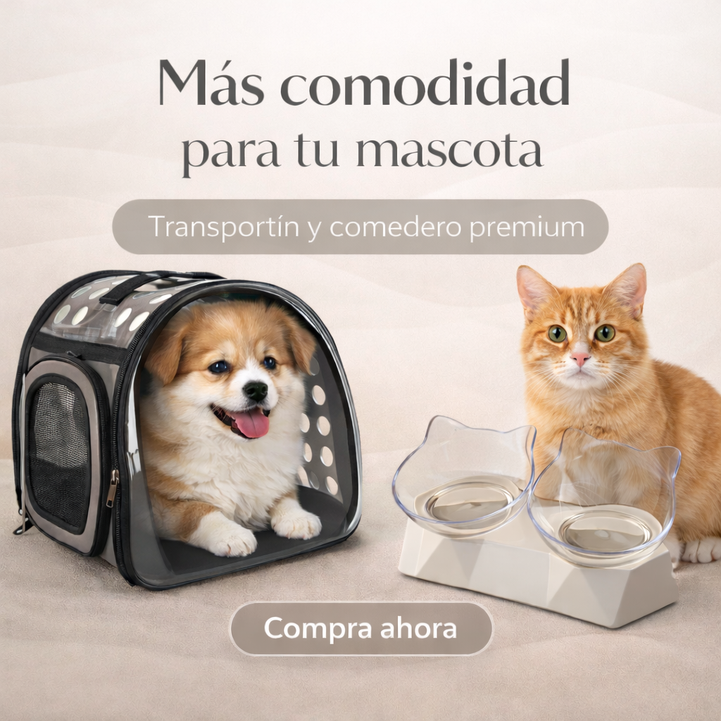 Combo mascota maleta+ bebedero comedero